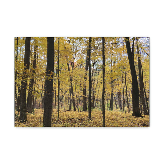 Wilderness Collection 2022 - Stomp the Devil (Canvas Gallery Wraps)